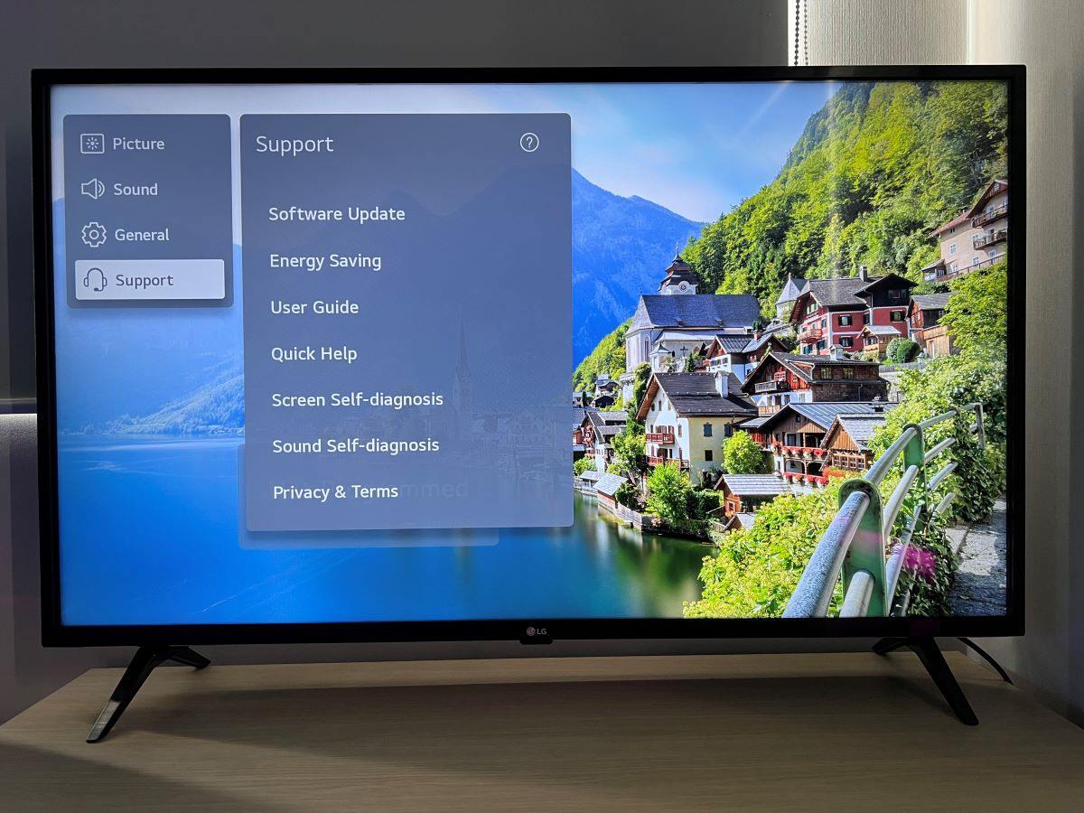 The support feature on LG TV and the screen saver is running at the back