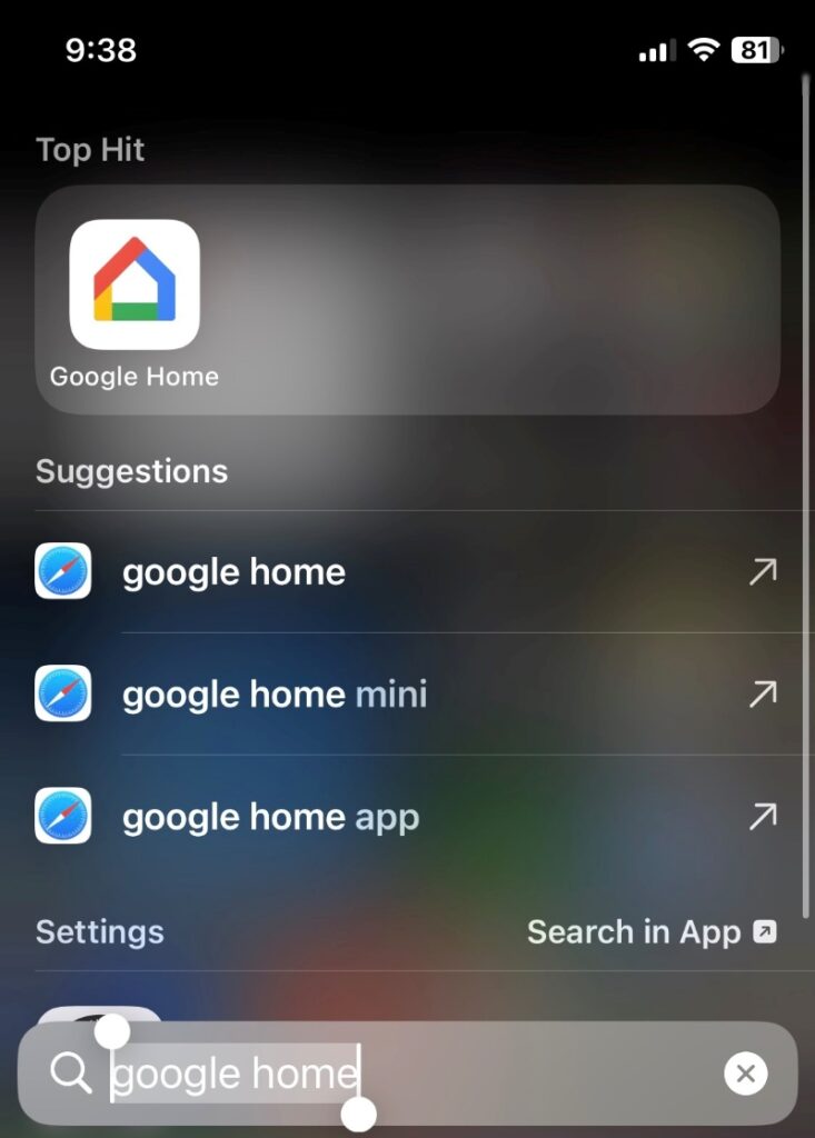 open the Google Home app on the iPhone