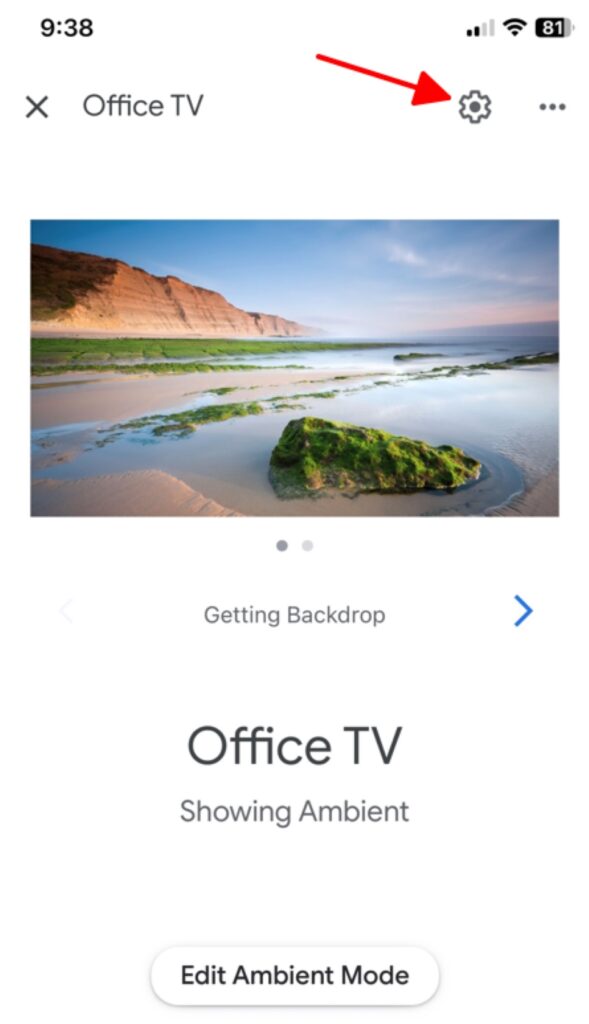tap on the Setting icon of the Chromecast device