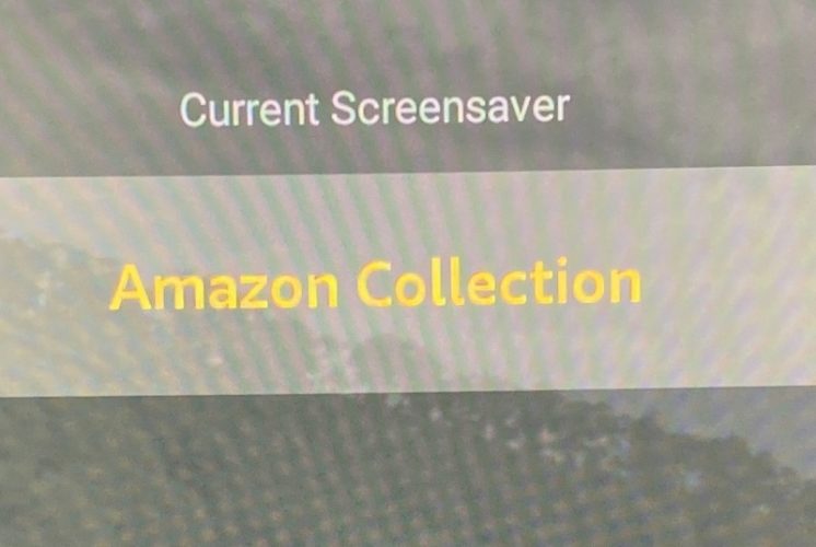 Amazon Collection in Fire Stick's screensaver