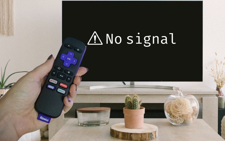 Roku says no signal on a TV