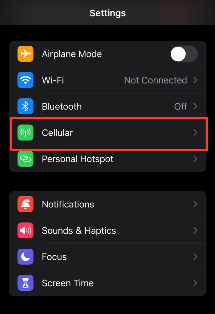 cellular option is highlighted on an iphone