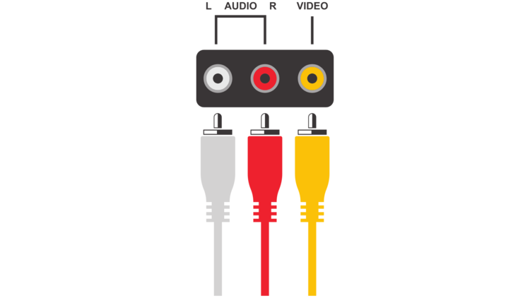 the RCA cable