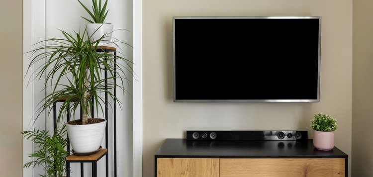A TV set up with soundbar and plants