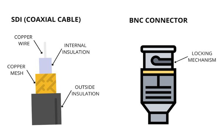 SDI cable and BNC connector