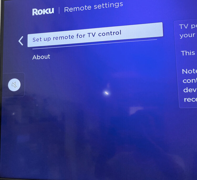 TV volume muted by Roku remote