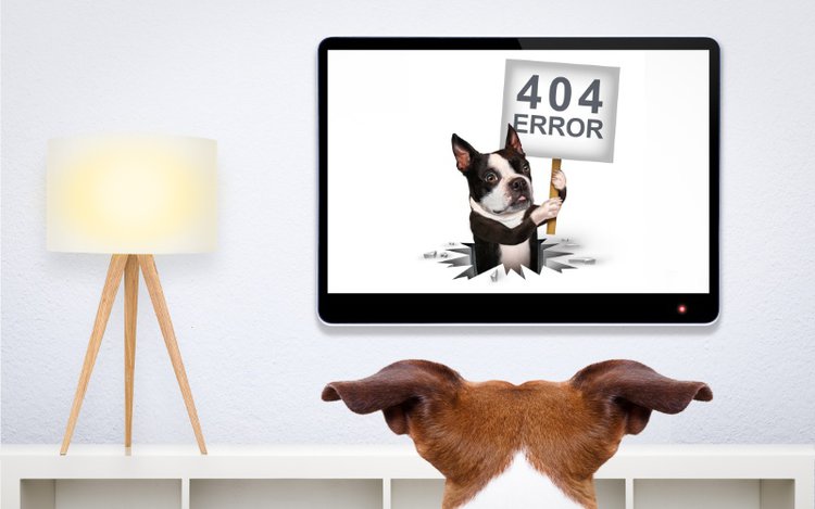 a dog watches a TV screen showing 404 error sign held by another dog