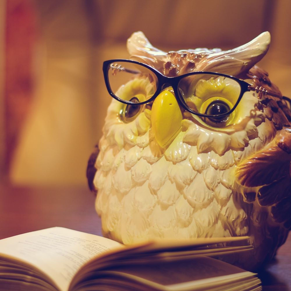 an owl toy is wearing glasses