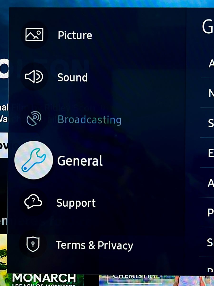 general option on a samsung tv is highlighted