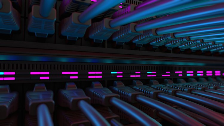 internet network swith with shielded ethernet cables