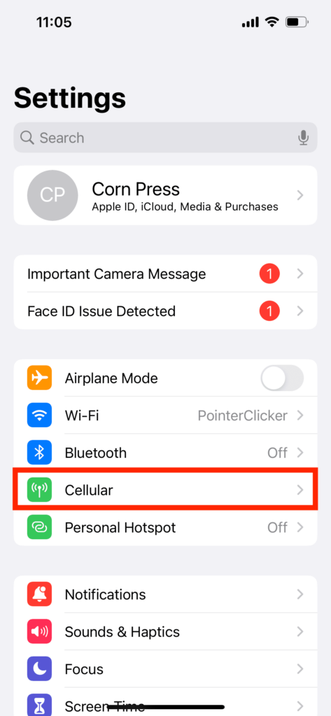 Cellular in iPhone Settings