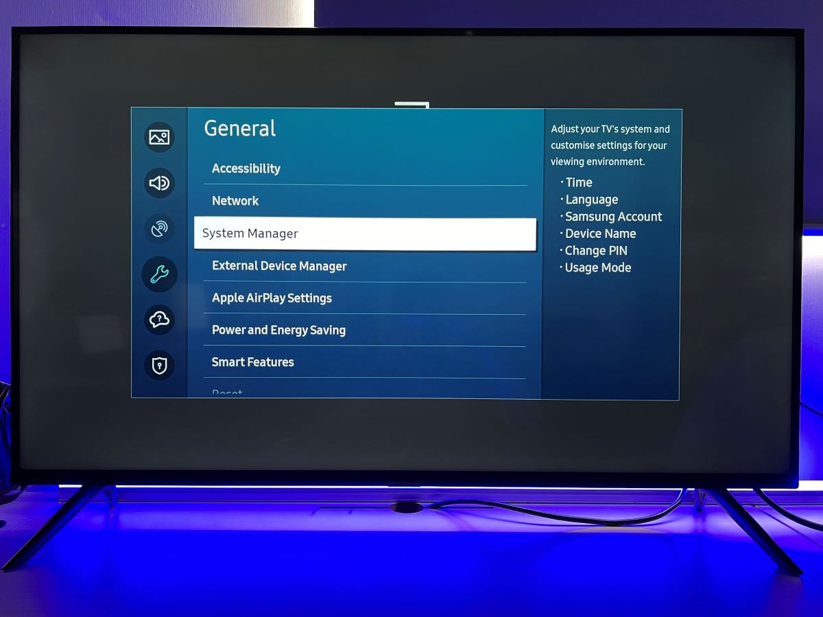 The System Manager from the General settings on Samsung TV