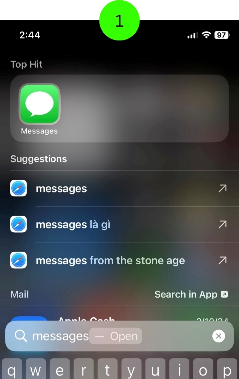 open the Message app on the iPhone