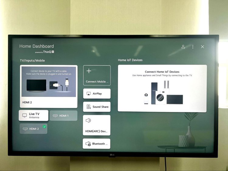 Home Dashboard section on LG TV