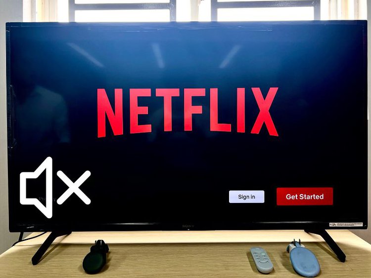 Netflix on TV with no sound