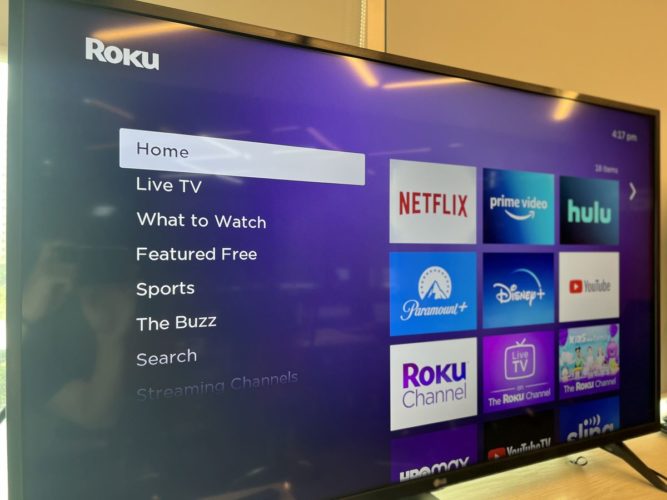 Roku Interface