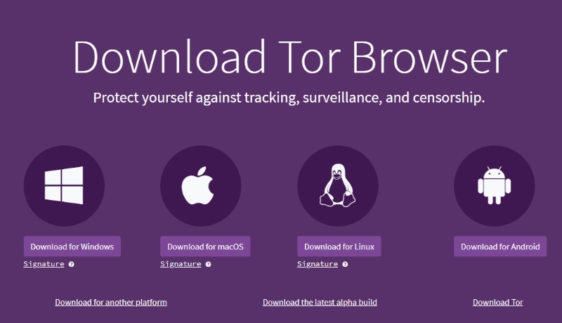 Tor Browser Download screen
