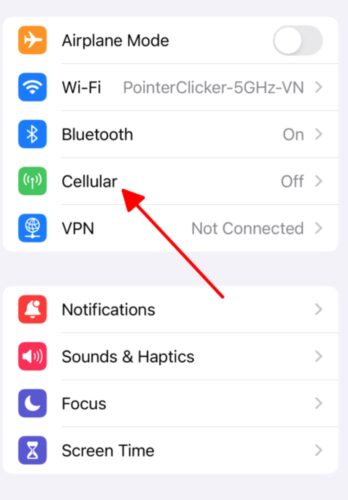 select the Cellular icon in the iPhone Settings menu