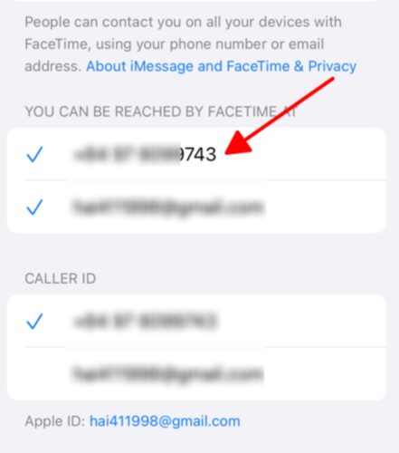 sign in to FaceTime with an Apple ID phone number