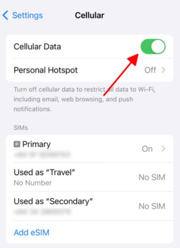 turn on Cellular Data in iPhone settings
