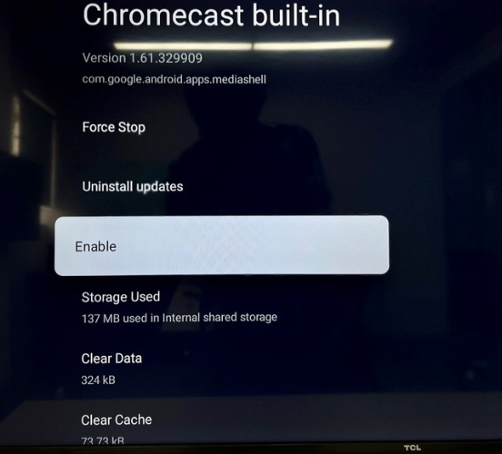 Chromecast built-in settings
