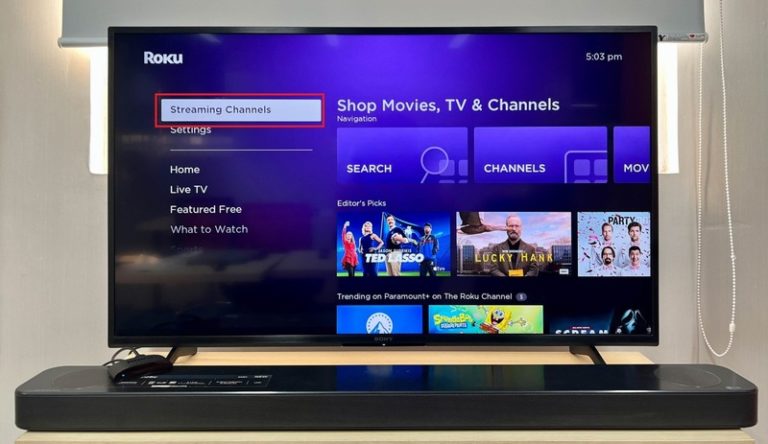 3 Quick Ways To Get Spectrum App on Your Sony TV - PointerClicker.com