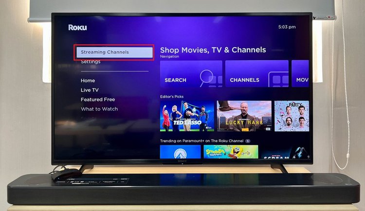 select streaming channel on Roku channel store