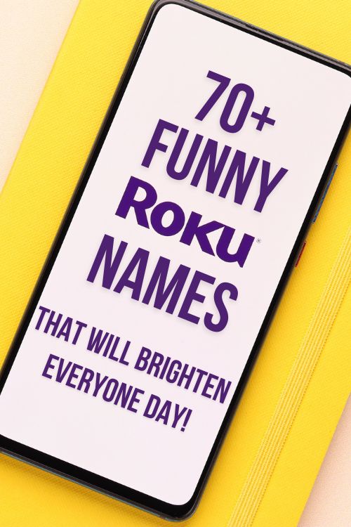 70+ Funny Roku Names That Will Brighten Up Everyone’s Day