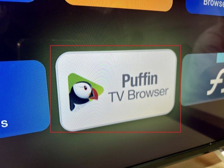 Puffin TV Browser on TCL TV