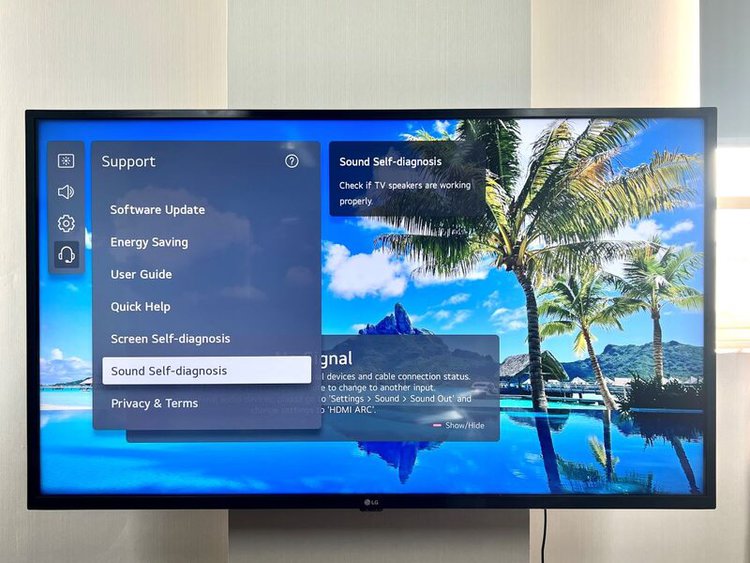 select Sound Self Diagnosis option on LG TV