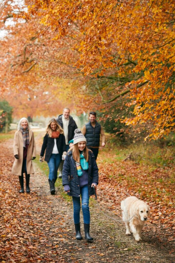 a family is going for a walk with a dog