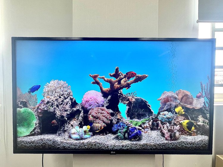 an lg tv with roku plugged in is displaying roku aquatic life or roku fish tank screensaver