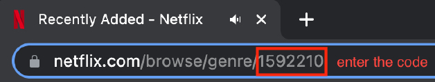 enter the Netflix secret code in the address bar