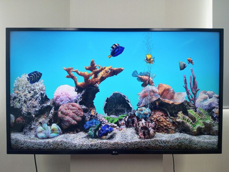 roku aquatic life screensaver on an lg tv