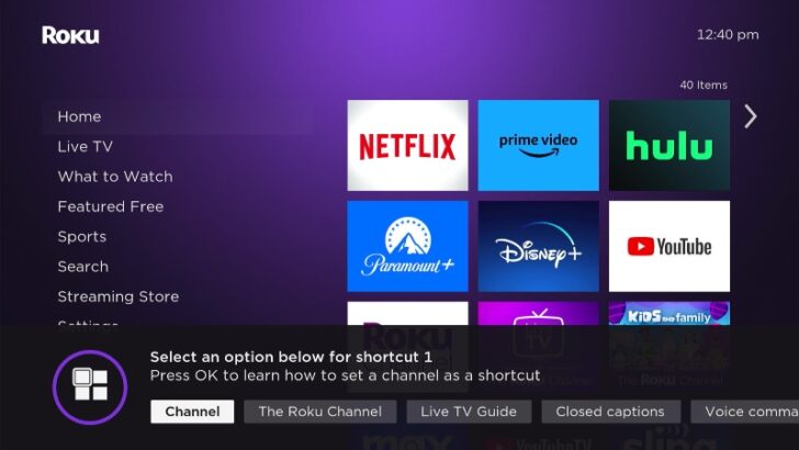 How To Reprogram Roku Remote Buttons Easily - PointerClicker.com