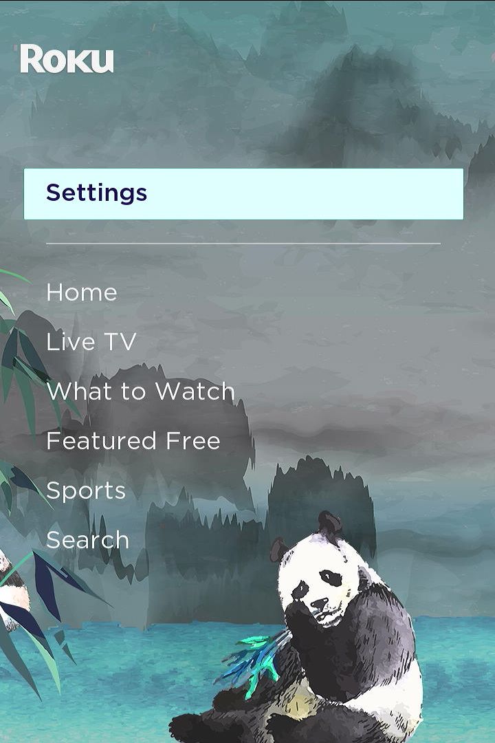 settings menu of a roku