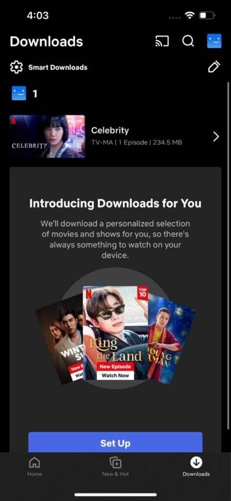 the Downloads section in the Netflix app on an iPhone