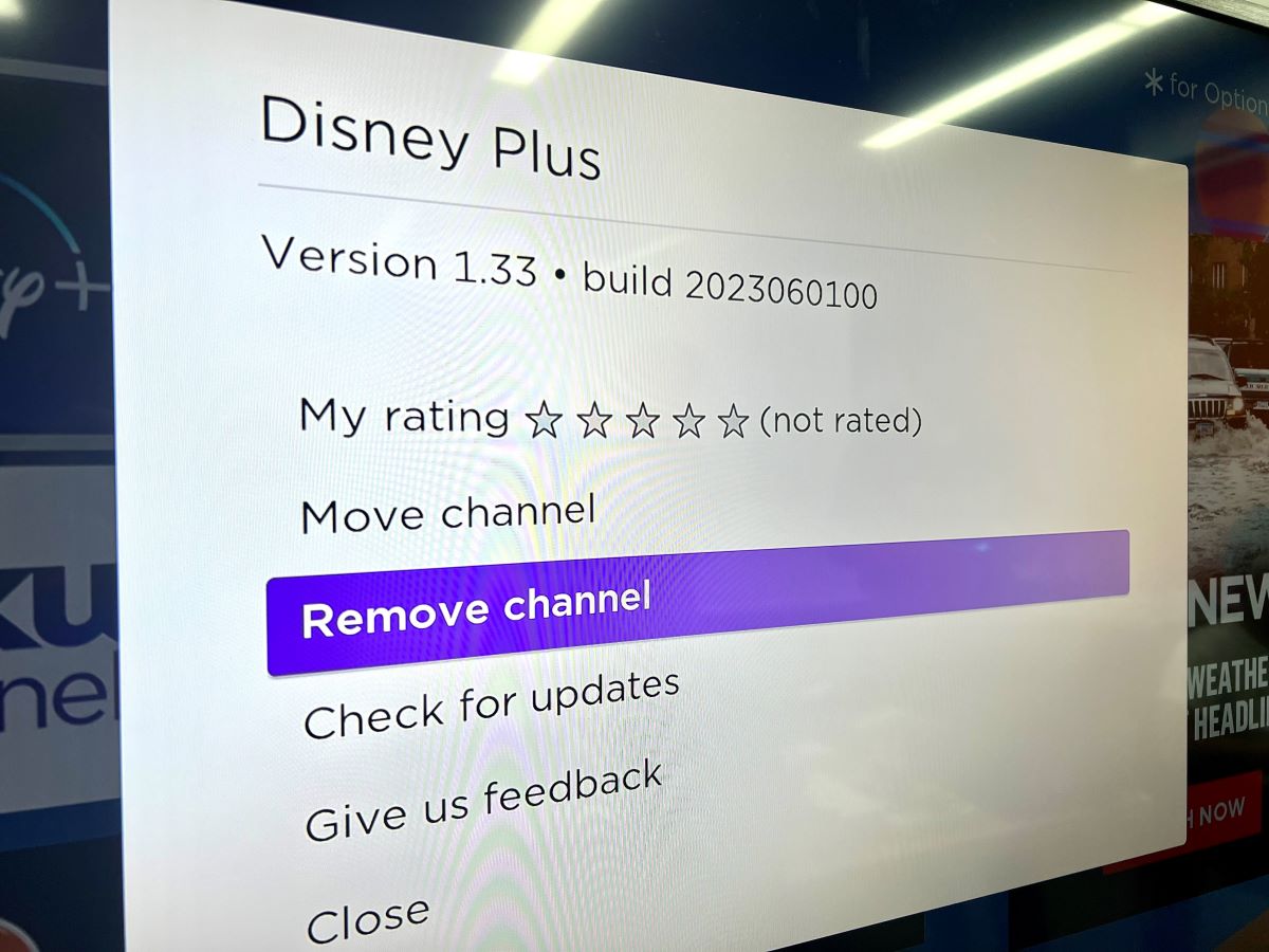 remove channel disney plus on a roku