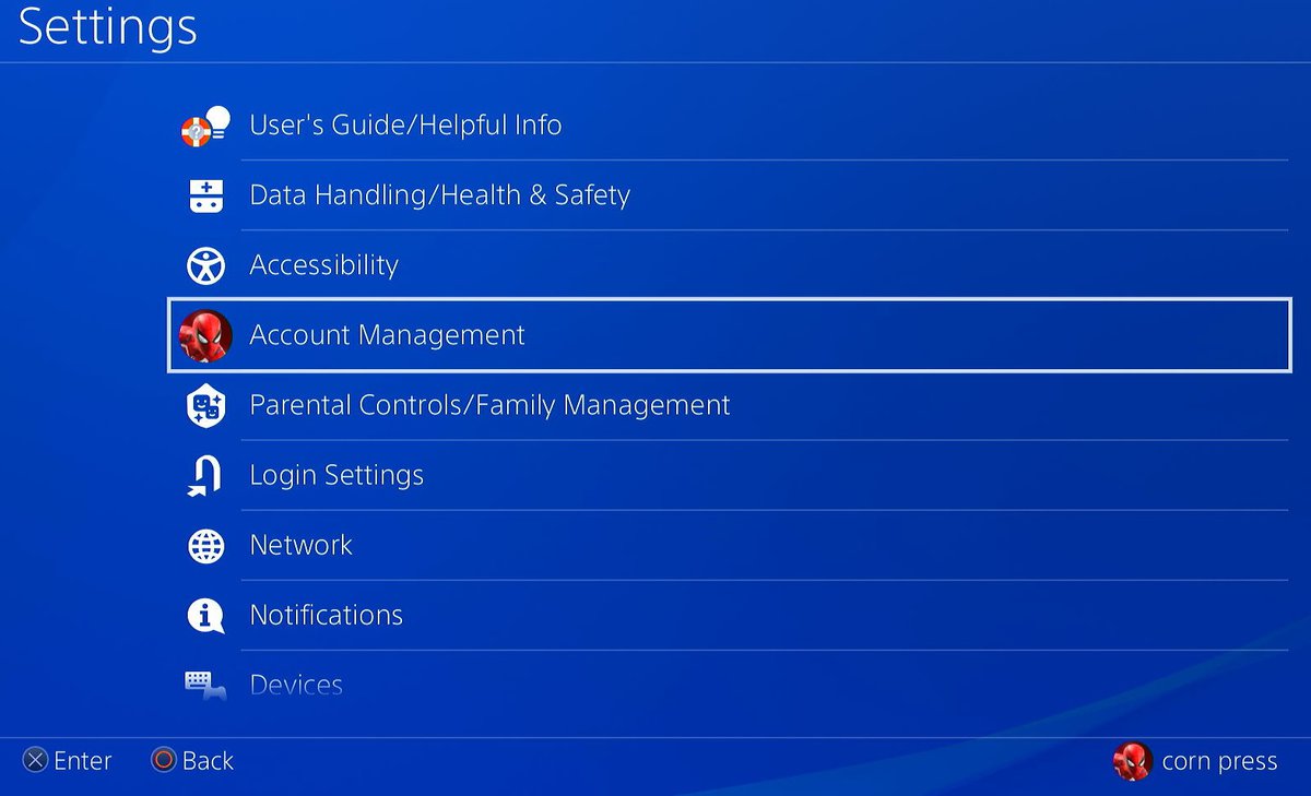 The account management from the PS4 settings