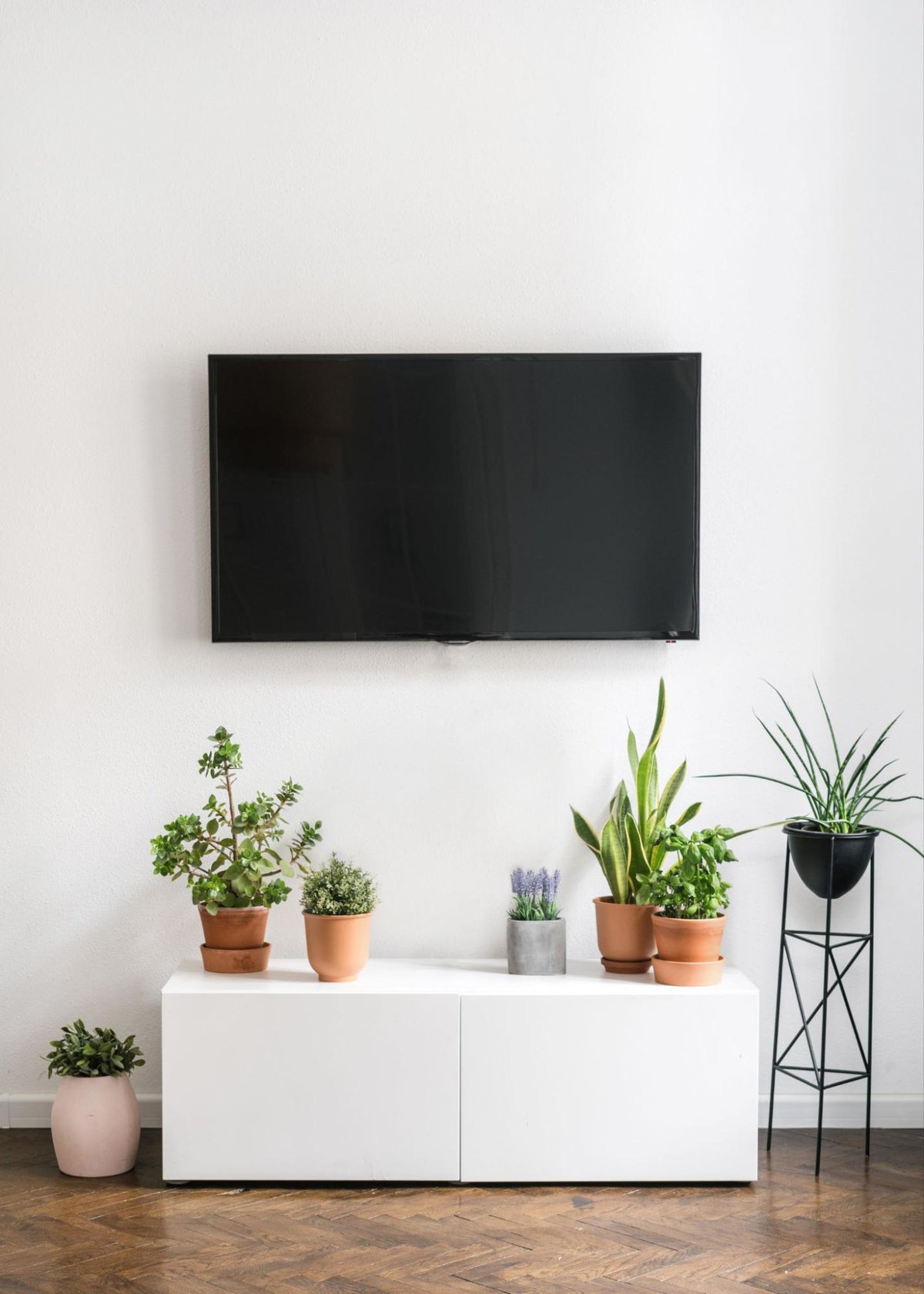 tree pots beneath a mounted tv 