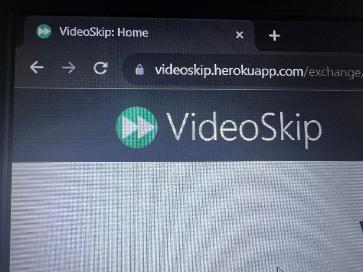 The logo of VideoSkip and the website showing the URL