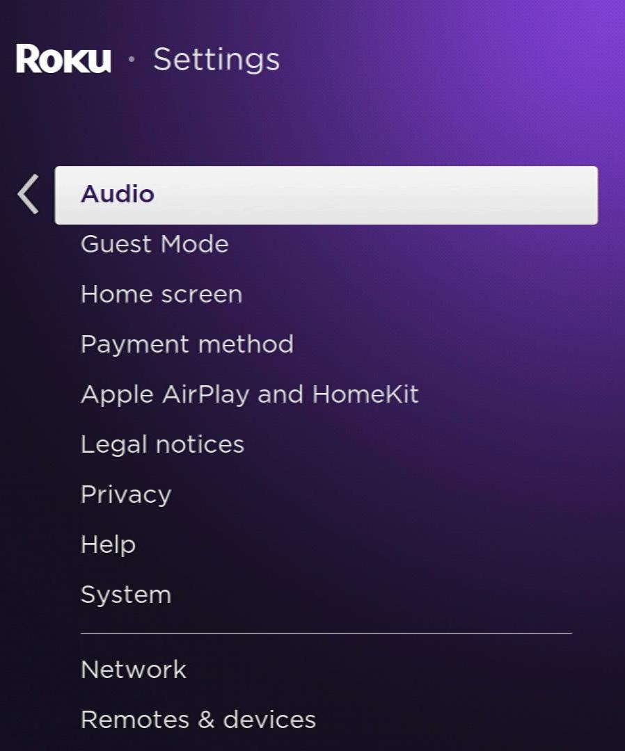 audio option is highlighted on a roku
