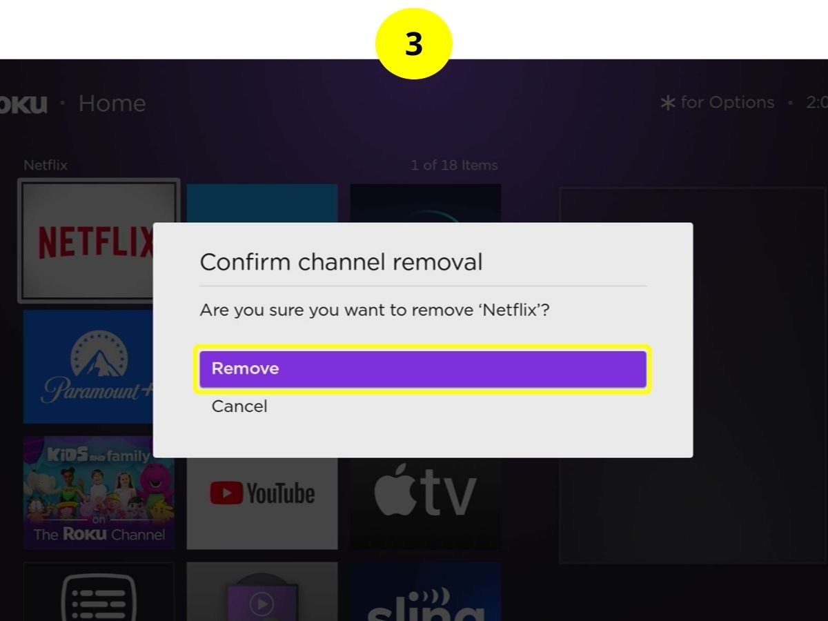 step 3 - confirm to remove netflix app on roku