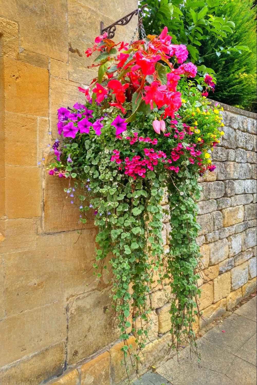 A Hanging Flower Pot