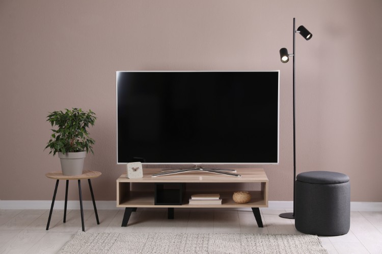 Plant, small wooden TV stand, and TV in the modern Living room