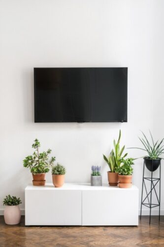 TV stand, plant and tv