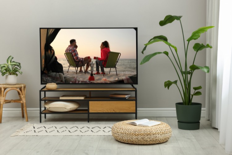 small TV stand, plant, and TV in the modern Living room