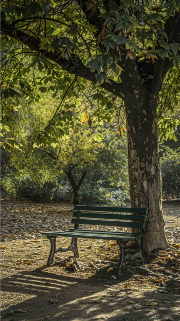 A Bench Under A Tree