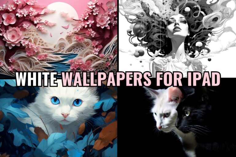 Aesthetic White Wallpapers for Your iPad