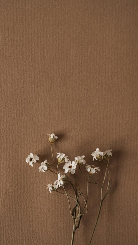 brown ipad wallpapers - 1
